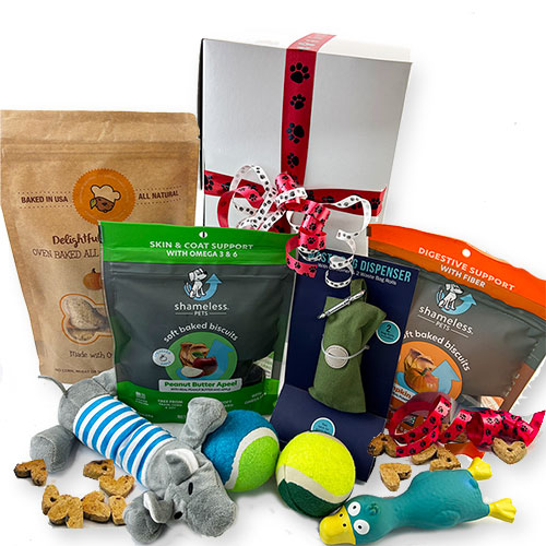 Faithful Friend Dog Gift Box