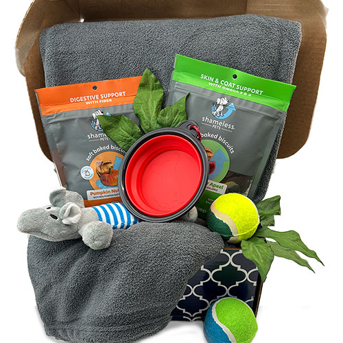 Ruff Day Pet Gift Basket - Dog