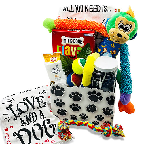 Its a Dogs Life Dog Gift Basket