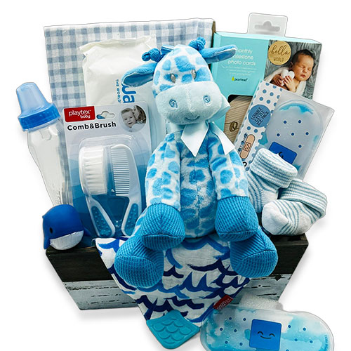 Baby Boy Gift Basket